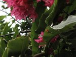 IMG_2606