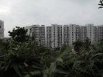 IMG_2701