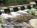 IMG_2899