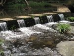 IMG_2900