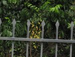 IMG_2914