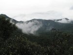 IMG_3087