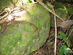 IMG_3199