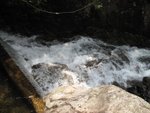 IMG_3292