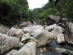 IMG_3321