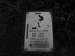 IMG_3918
