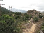 IMG_4101