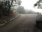 IMG_1329