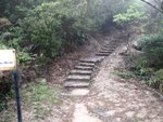 IMG_1336