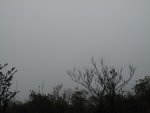 IMG_1348