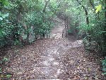 IMG_1351