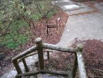 IMG_1358