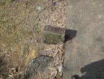 DSC00032