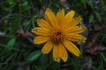 DSC04255
