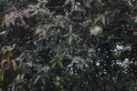 DSC04276