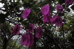 DSC04279