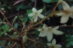 DSC04287