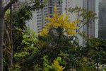 DSC04289