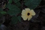 DSC04319
