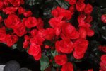 DSC04326
