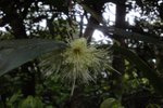 DSC04328