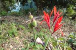 DSC04984