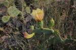 DSC05019
