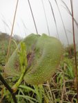 DSC05109