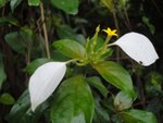 DSC05187