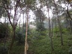 DSC00486