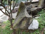 DSC00510