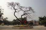 DSC04519