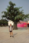 DSC04521