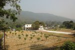 DSC04535