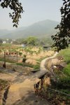 DSC04537