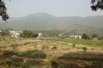 DSC04538