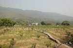 DSC04539