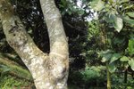 DSC04544