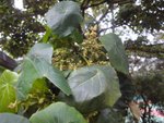 DSC05448
