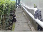 DSC05450
