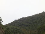 DSC05623