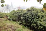 DSC05677