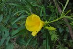 DSC05681