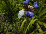 DSC05994