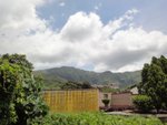 DSC06009