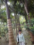 DSC06195