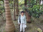 DSC06196