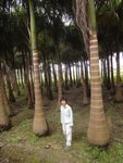 DSC06205