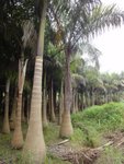 DSC06219