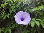 DSC06134